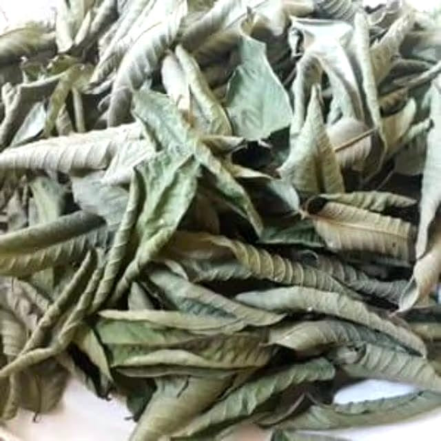 Guava Leaf Powder 10 lb