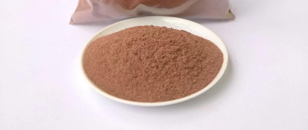 Ants Nest Powder (Myrmecodia Pendens) 48 lbs