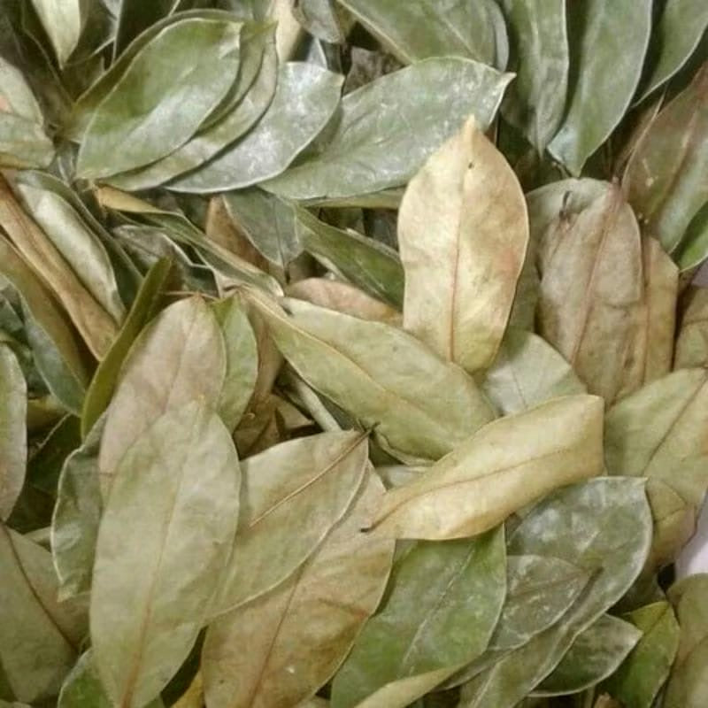 Soursop Leaves Powder 48 lbs