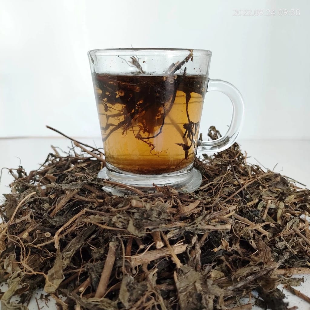 Java Tea (Orthosiphon Aristatus) 48 lbs - Medicinal Rating ⭐️⭐️⭐️⭐️