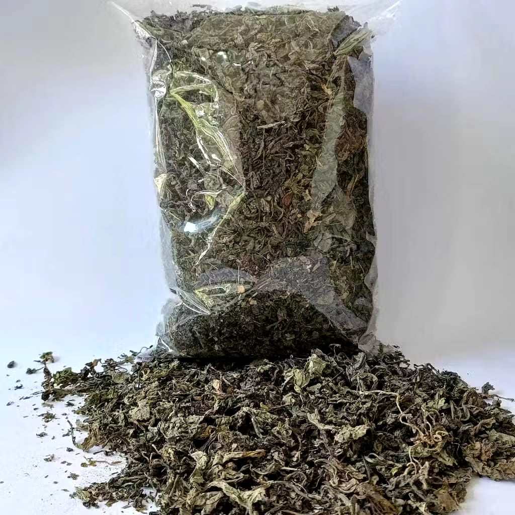 Perennial Sow Thistle Powder Bundle (4 lbs)