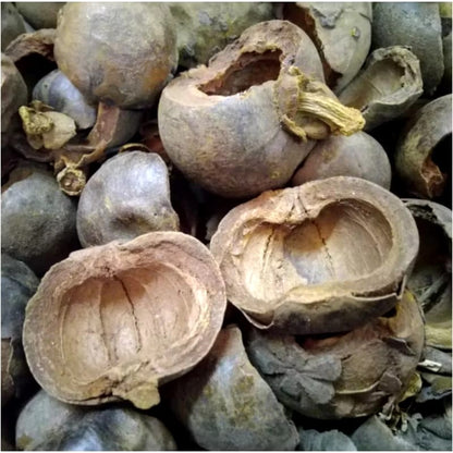 Mangosteen Powder 10 lb
