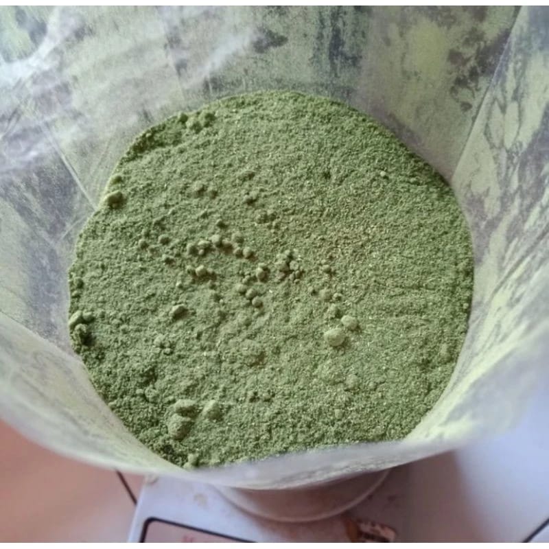 Indian Nettle Powder Bundle (4 lbs)