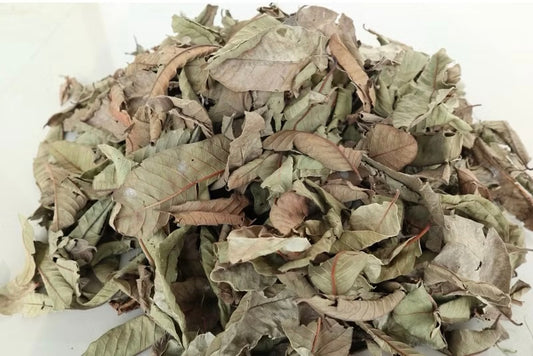 Guava2 Leaf Powder 10 lbs 🛥️