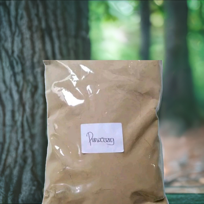 Purwaceng Powder (Pimpinella Pruatjan) 10 lb